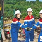 Ekspansi Bisnis Petrokimia Elnusa