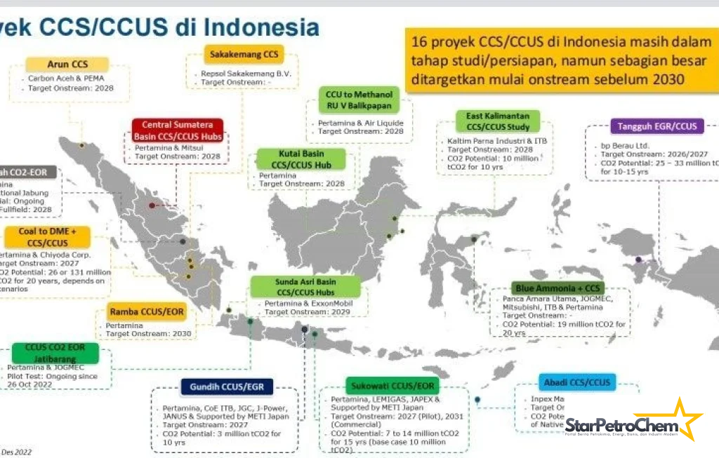Inspektur Migas CCS/CCUS