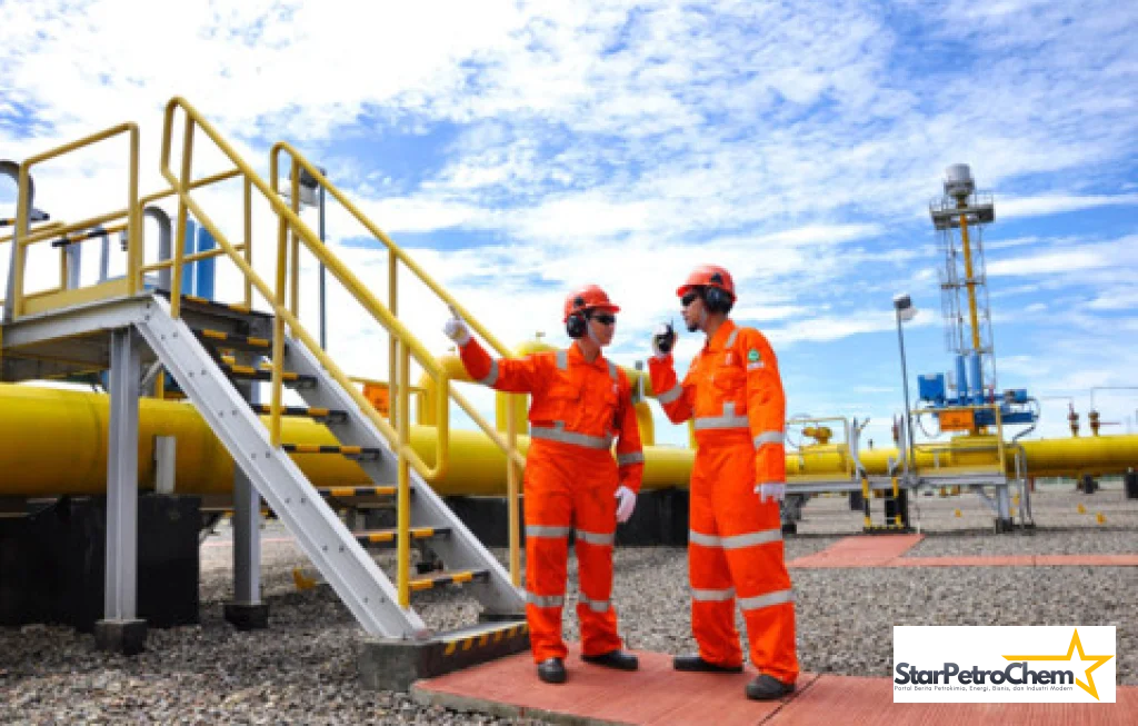 optimalisasi gas bumi nasional