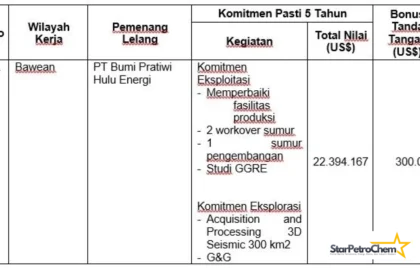 Pemenang Lelang Bawean