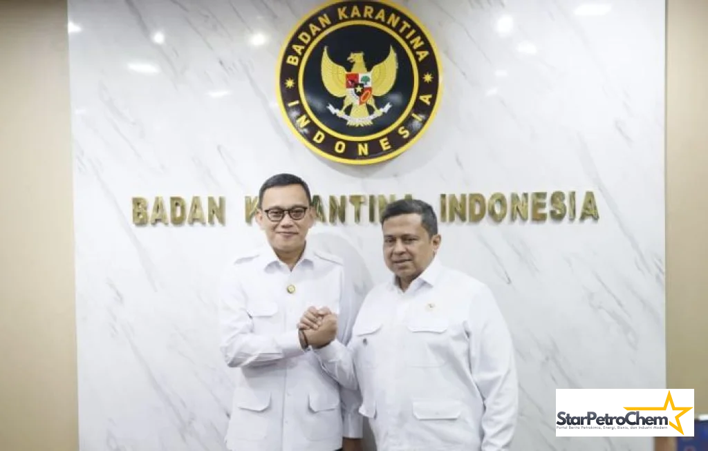 Pengawasan Pakan Ternak Porcine